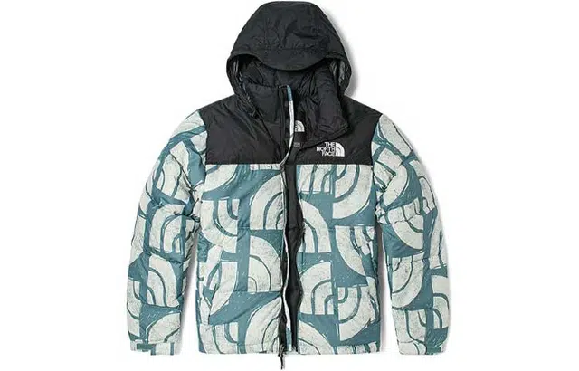 THE NORTH FACE 1996 Retro Nuptse 700