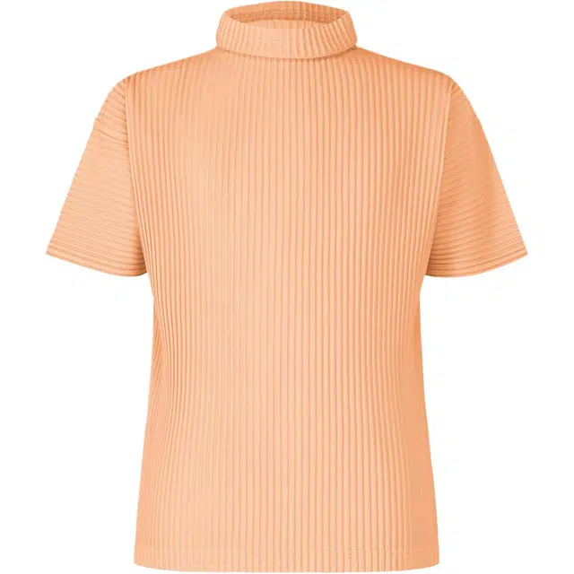 Homme Pliss Issey Miyake T