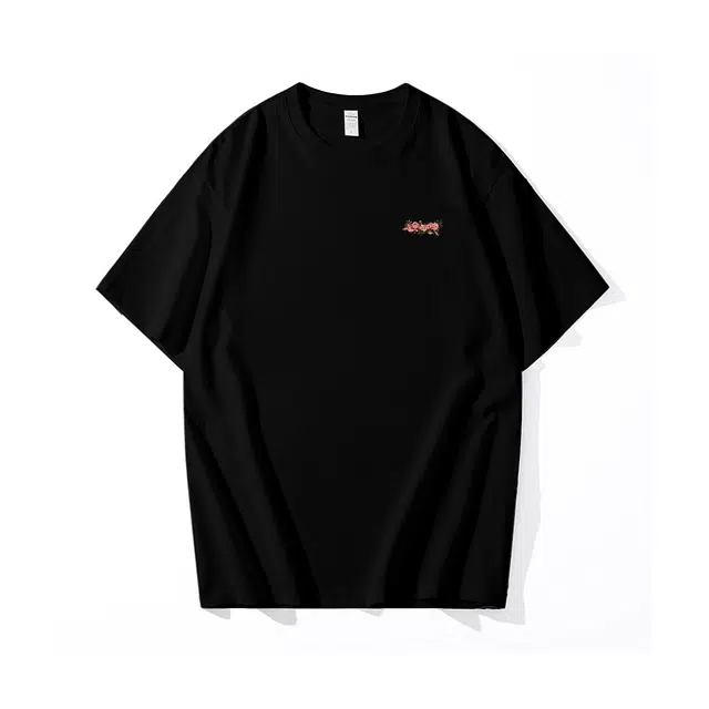 FENGXUELANG T