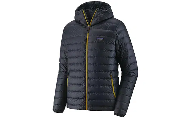 Patagonia Down Sweater