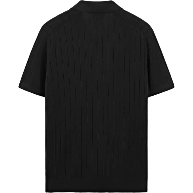 Massimo Dutti VPolo