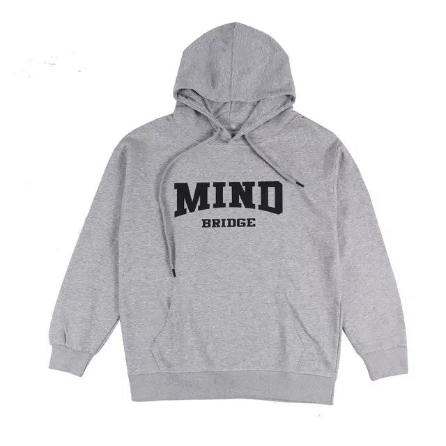 MindBridge