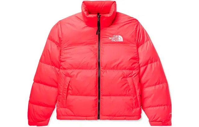 THE NORTH FACE 1996 RETRO NUPTSE Logo