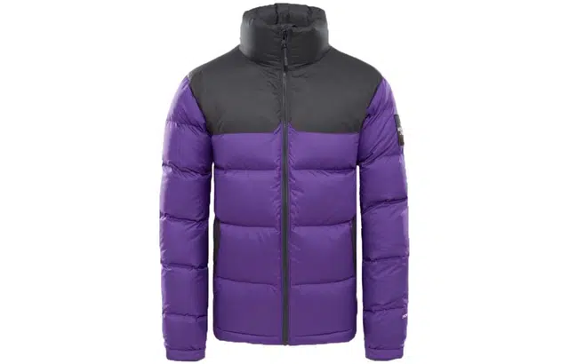 THE NORTH FACE 1992 Nuptse Jacket Tillandsia PrplAsphalt Grey