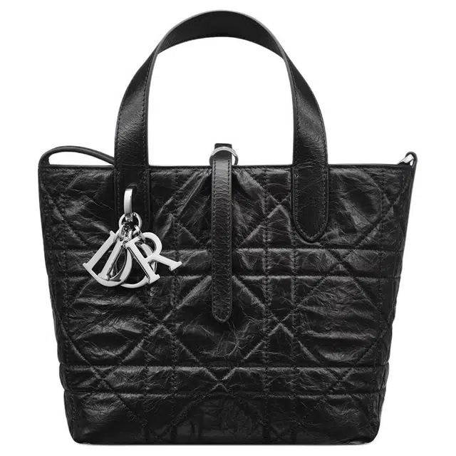 DIOR Toujours