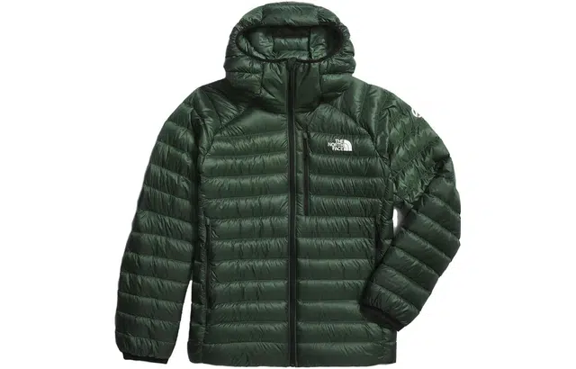 The North Face Summit Series Breithorn Hoodie Pine Green
