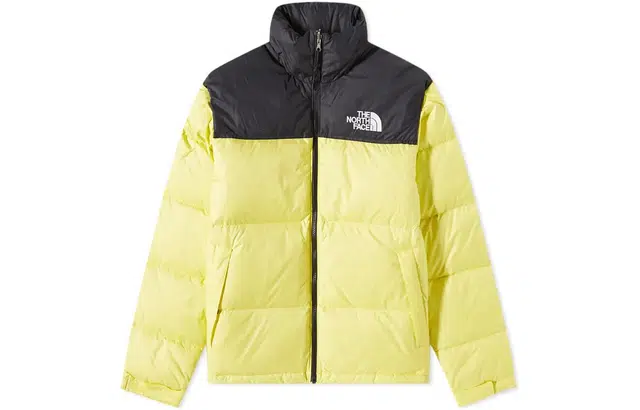 The North Face 1996 Logo Down Jacket