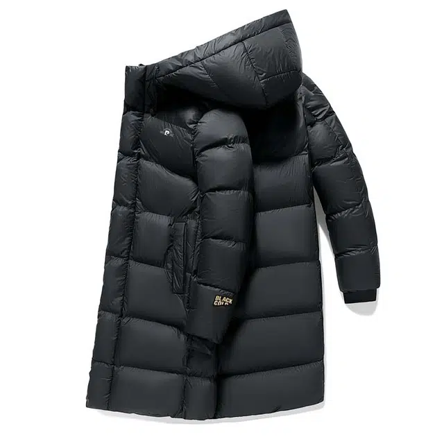 PIERRE CARDIN