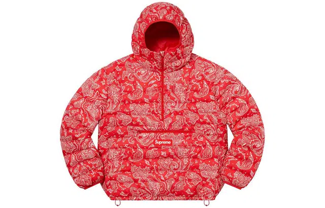 Supreme Micro Down Half Zip Hooded Pullover