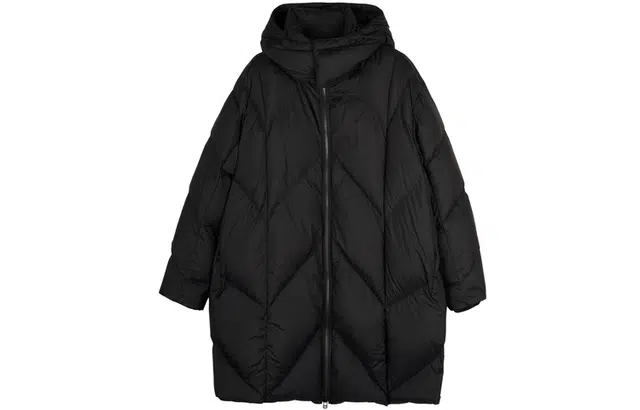 FW23