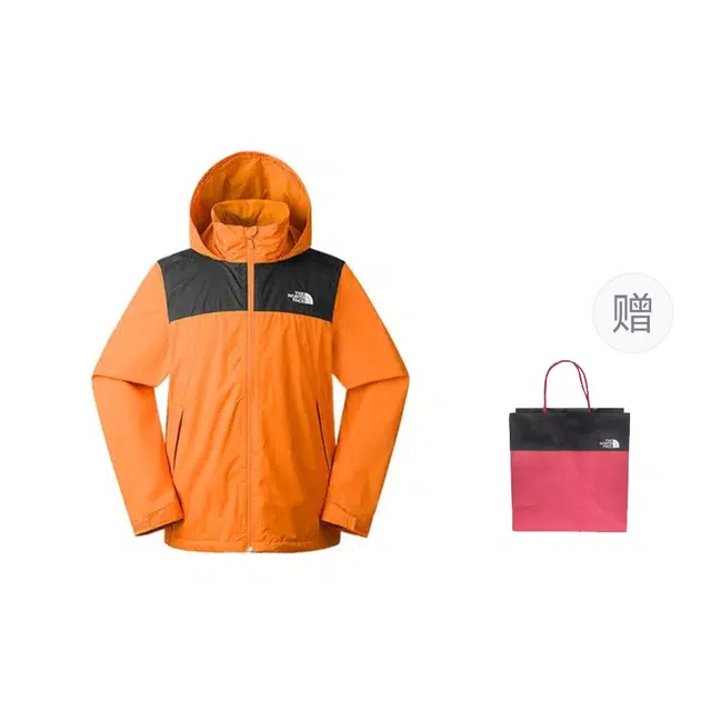 THE NORTH FACE Logo