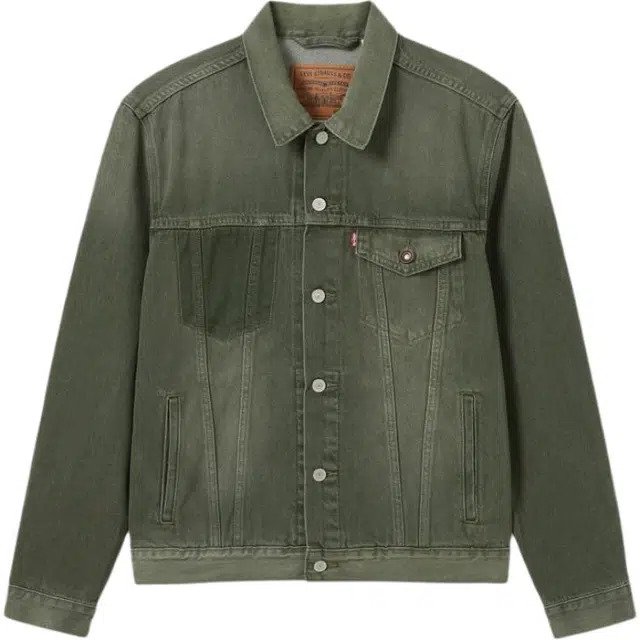 Levi's Denim Ronin Series FW24