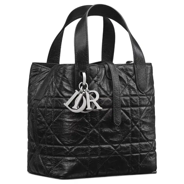DIOR Toujours