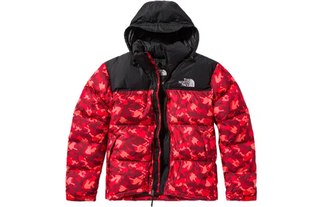 THE NORTH FACE 1996Nuptse Logo