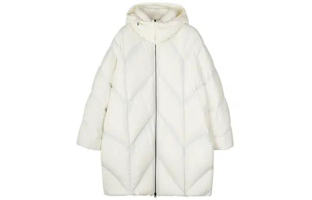 FW23
