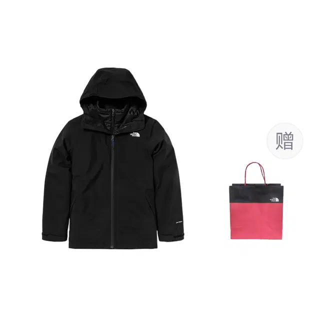 THE NORTH FACE logo