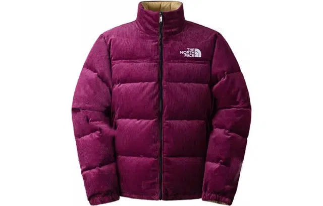 THE NORTH FACE NUPTSE 1992 FW23