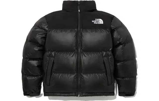 The North Face Novelty Nuptse Down Jacket