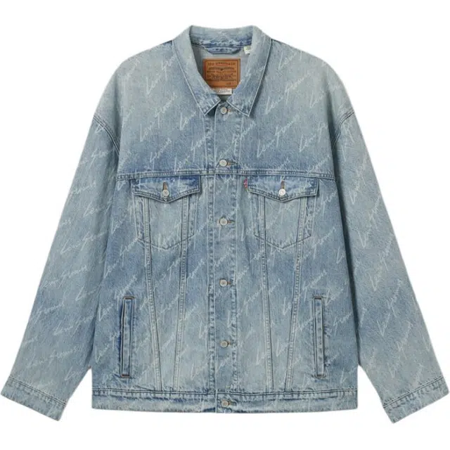 levis FW24