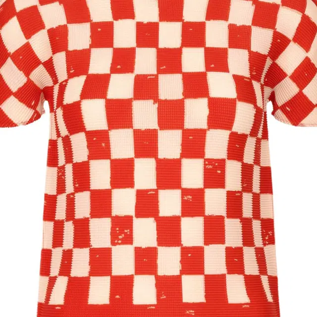 ISSEY MIYAKE T