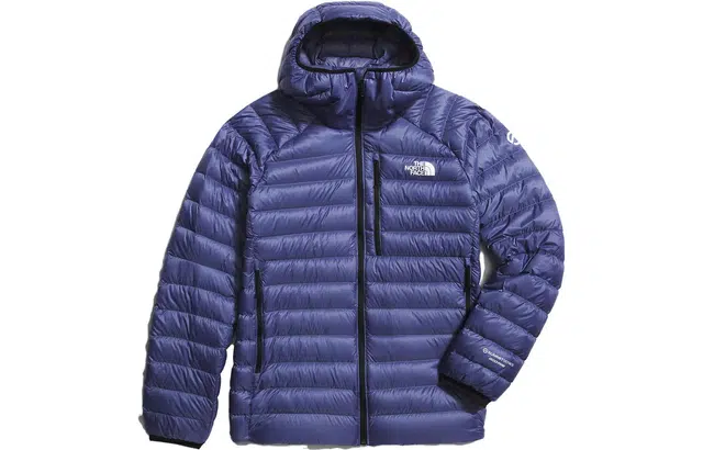 THE NORTH FACE Summit Series Breithorn Hoodie Logo