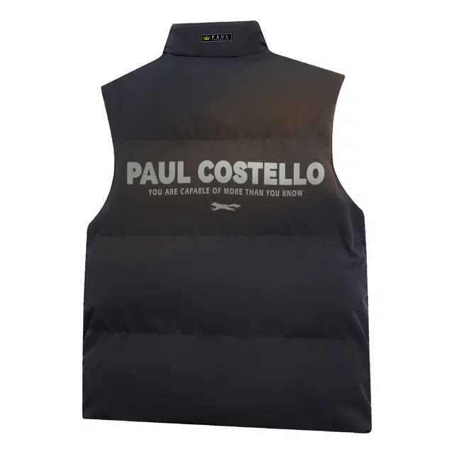 PAUL COSTELLOE