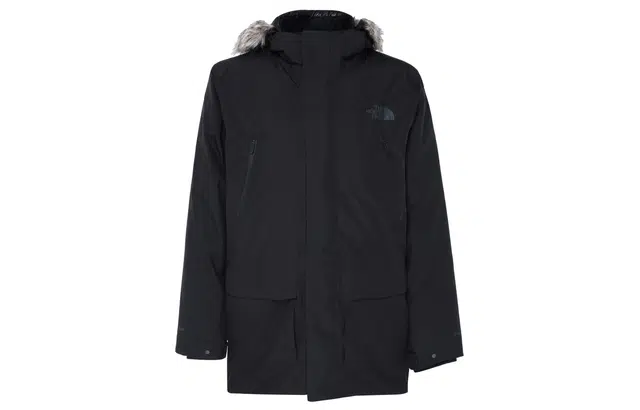 THE NORTH FACE Arctic Parka Gtx