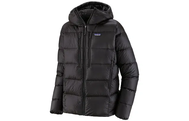 patagonia Fitz Roy 800