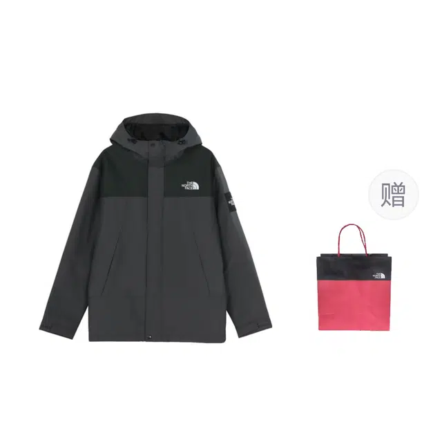 THE NORTH FACE Logo