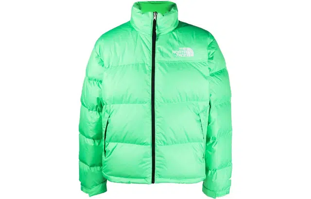 The North Face 1996 Series 700 Down Jacket Green