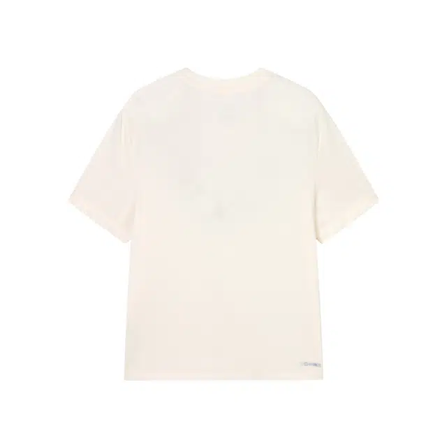 logo T DS