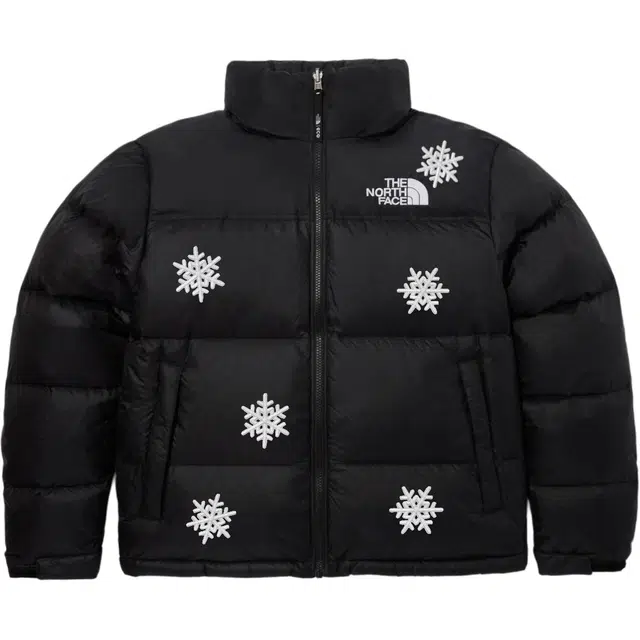 The North Face 1996 Series