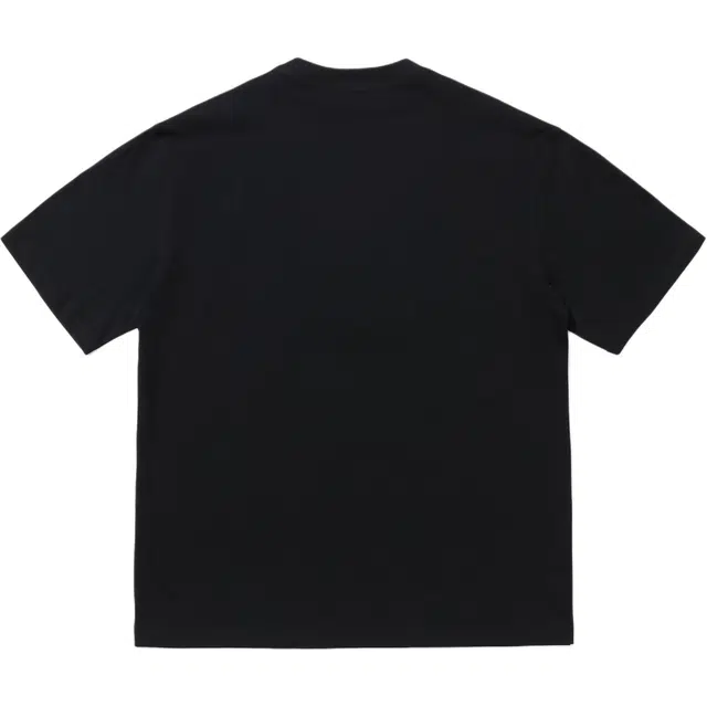 PAINT STAIN T