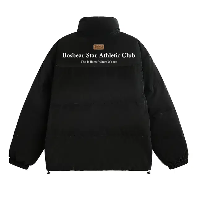 BOS BEAR LOGO