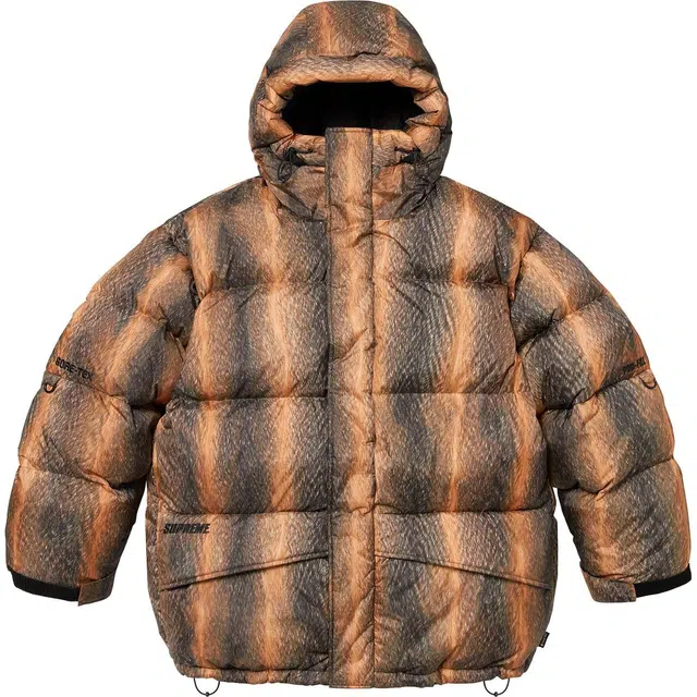 Supreme FW24 GORE-TEX Down Parka