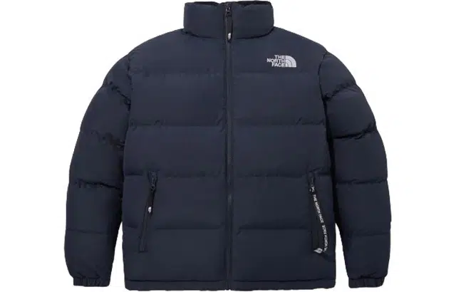 THE NORTH FACE Eglon Ex Down Jacket