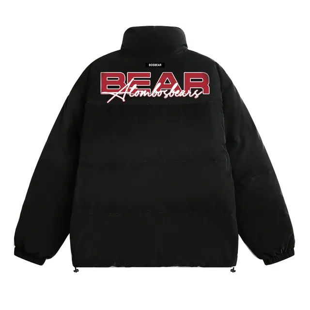 BOS BEAR LOGO