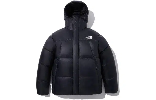 THE NORTH FACE FW23 Eco BARUNTSE DOWN Logo