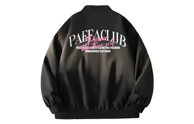 PAEFA Logo