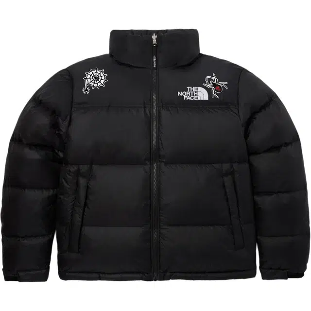 The North Face 1996 Series