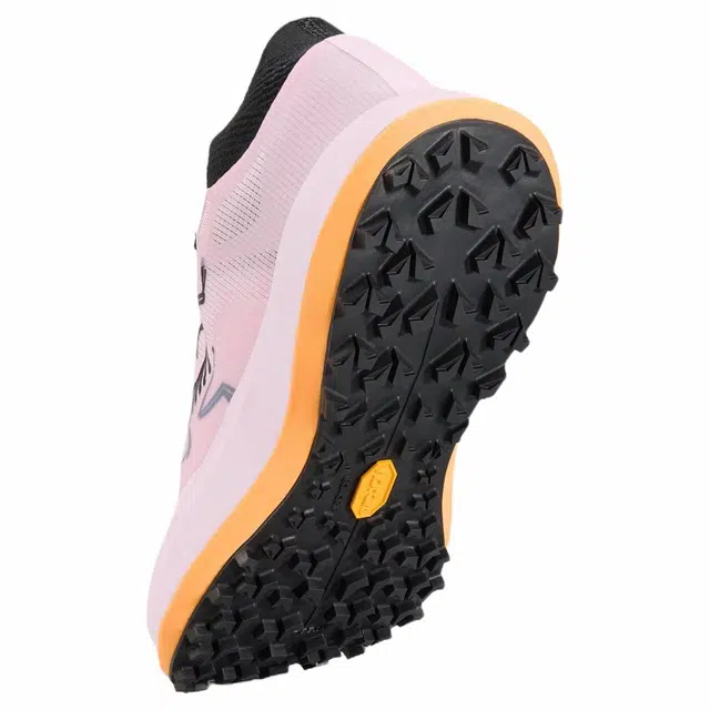 Arcteryx SYLAN PRO
