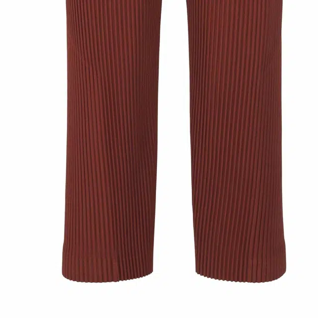 Homme Pliss Issey Miyake
