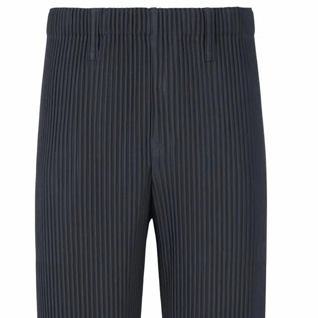 Homme Pliss Issey Miyake