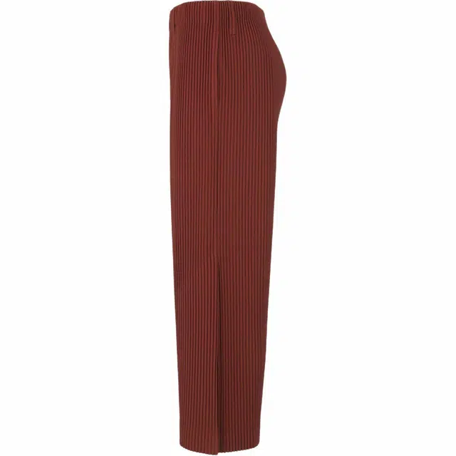 Homme Pliss Issey Miyake