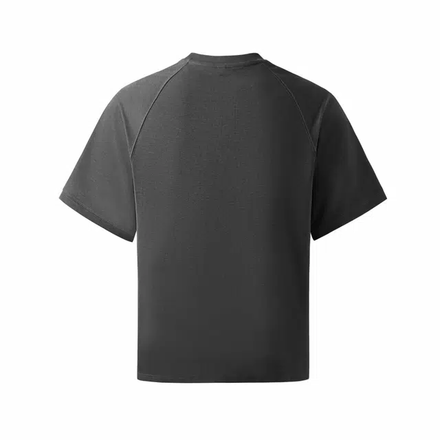 Hansca T