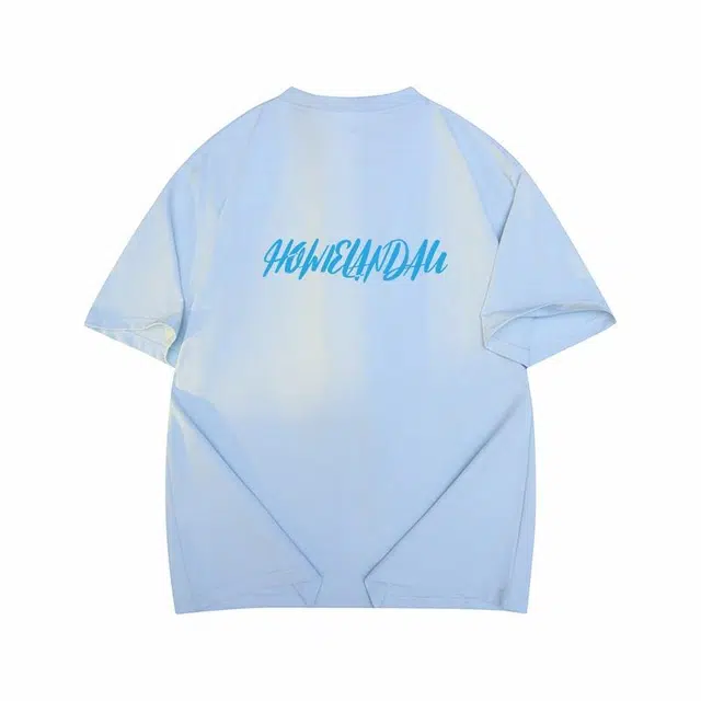 HOWIE LANDAU T