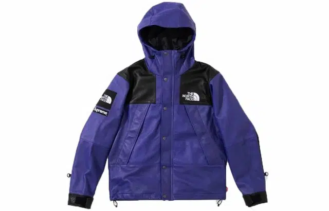 Supreme x THE NORTH FACE FW18