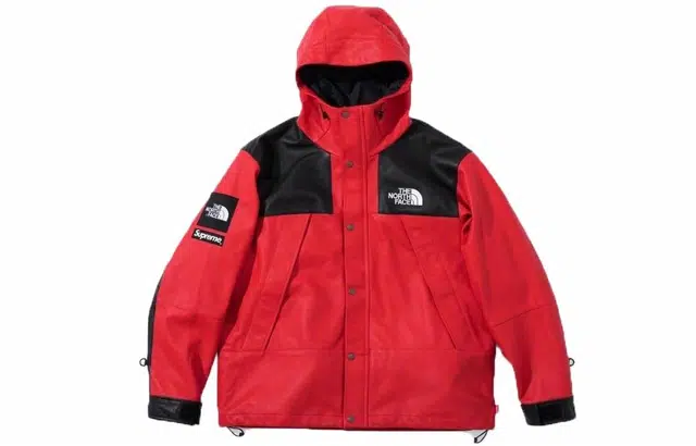 Supreme x THE NORTH FACE FW18