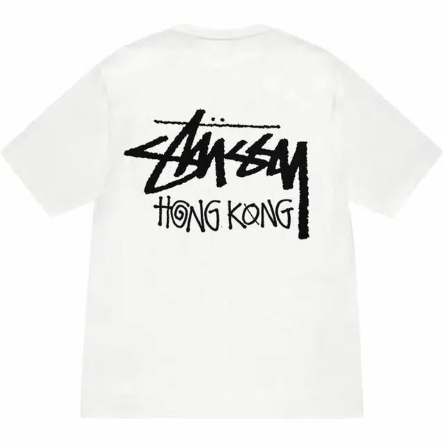 Stussy SS25 logoT