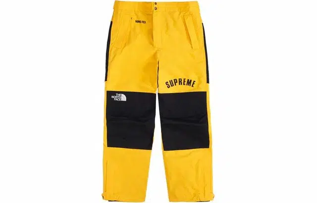 Supreme x THE NORTH FACE SS19